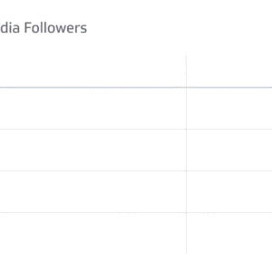 Social Media Followers Data Entry