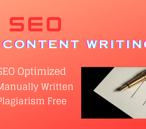 SEO Blog Article Writing 1000 Words