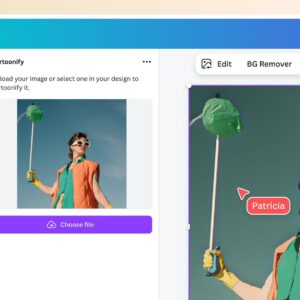 Photo to Illustration/Cartoon Portrait