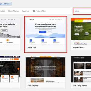 WordPress Theme Customization Service
