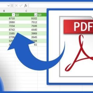 PDF Table to Excel Extraction