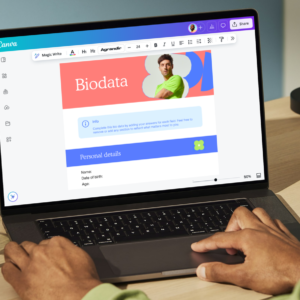 Professional CV & LinkedIn Bio Writing